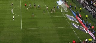 1697590162267080607.gif 德国01.gif